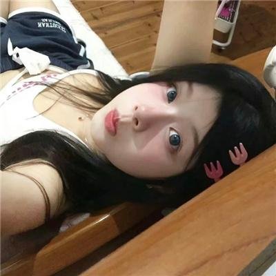 合子异种