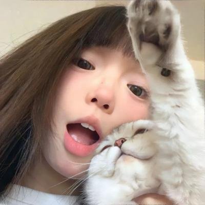狗的生涯
